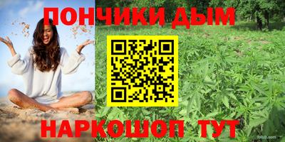 ПСИЛОЦИБИНОВЫЕ ГРИБЫ Нальчик
