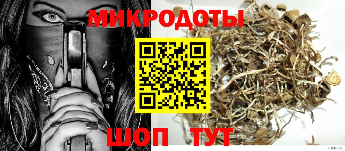 Псилоцибиновые грибы Magic Shrooms Тобольск